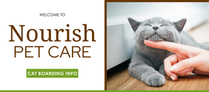 A welcome banner for Nourish Pet Care with the text 'Welcome to Nourish Pet Care' in a clean, corporate-style font on the left. On the right, a grey cat lies with its eyes closed, enjoying chin scratches from a hand reaching in from the side, likely its owner. The background is a softly blurred indoor scene. Below the text, a green button reads 'Cat Boarding Info'