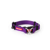 EzyDog DoubleUp Collar Purple