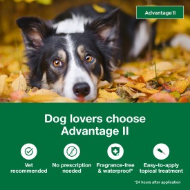 Advantage II Large Dog Vet-Recommended Flea Treatment & Prevention