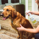 Wondercide Flea & Tick Spray for Pets + Home